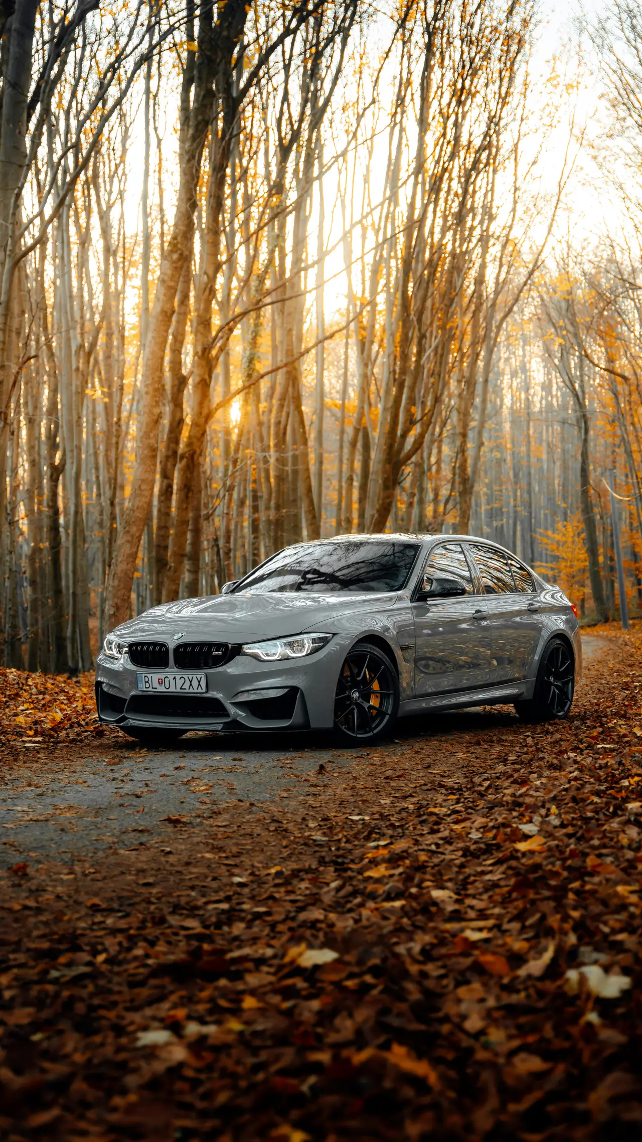 Silver performance car on a forest road
